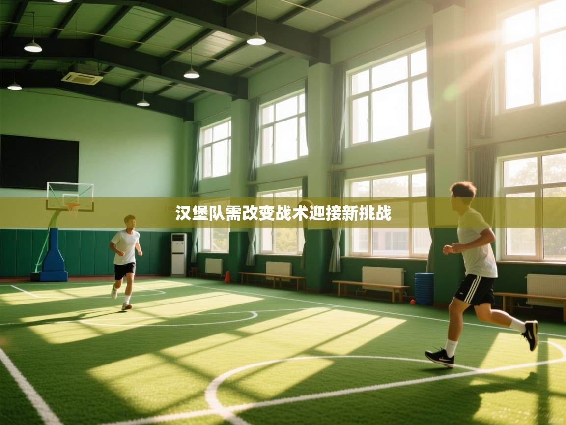 汉堡队需改变战术迎接新挑战 第2张