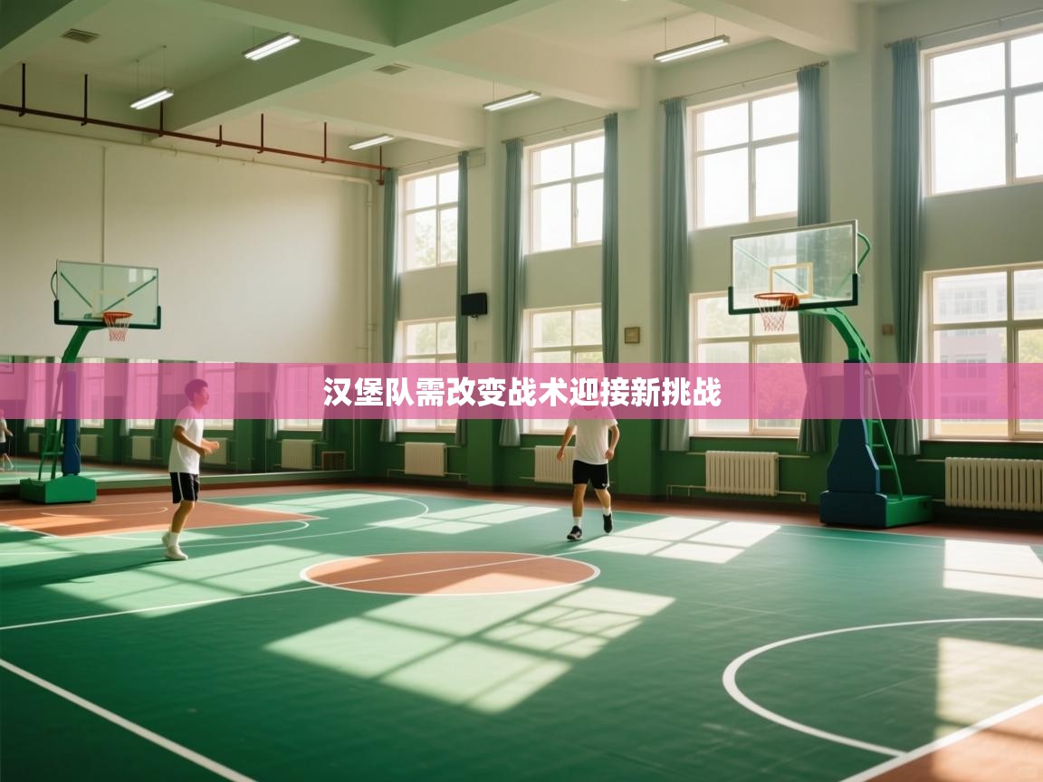 汉堡队需改变战术迎接新挑战 第1张