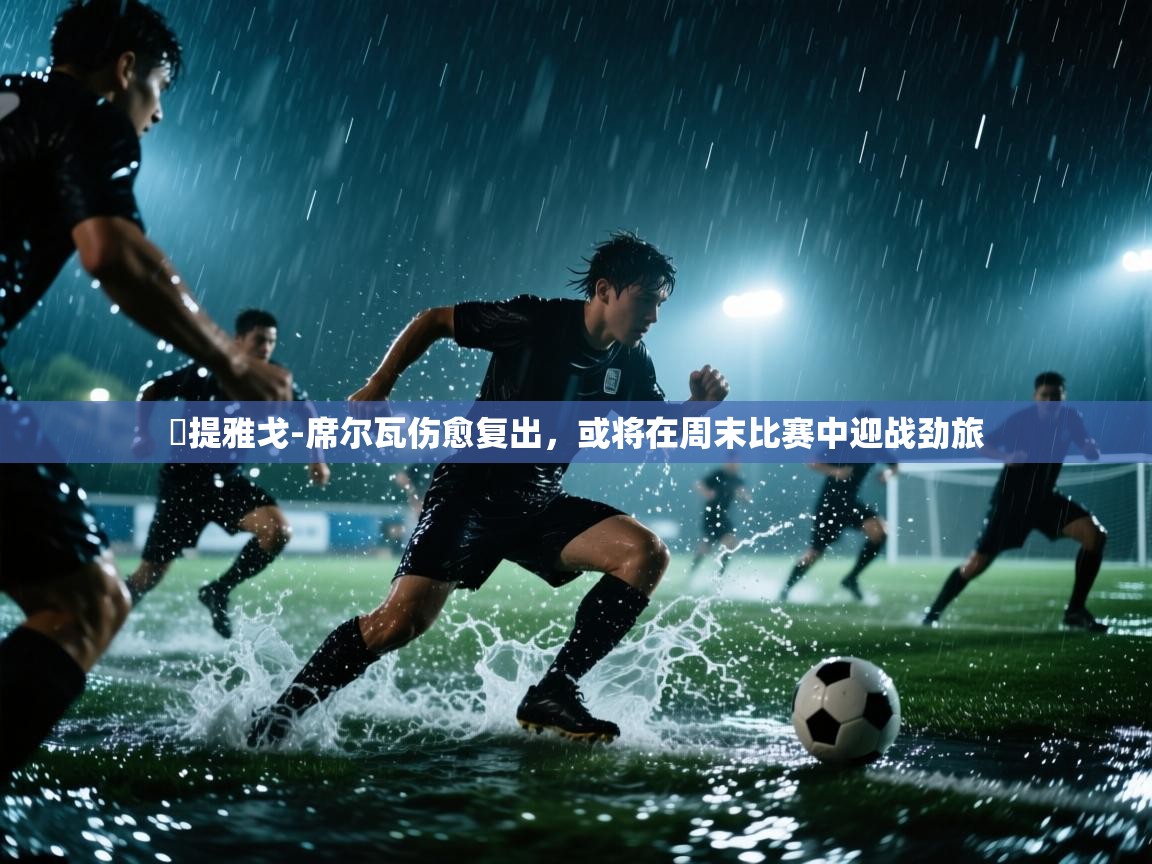 蒒提雅戈-席尔瓦伤愈复出，或将在周末比赛中迎战劲旅  第2张