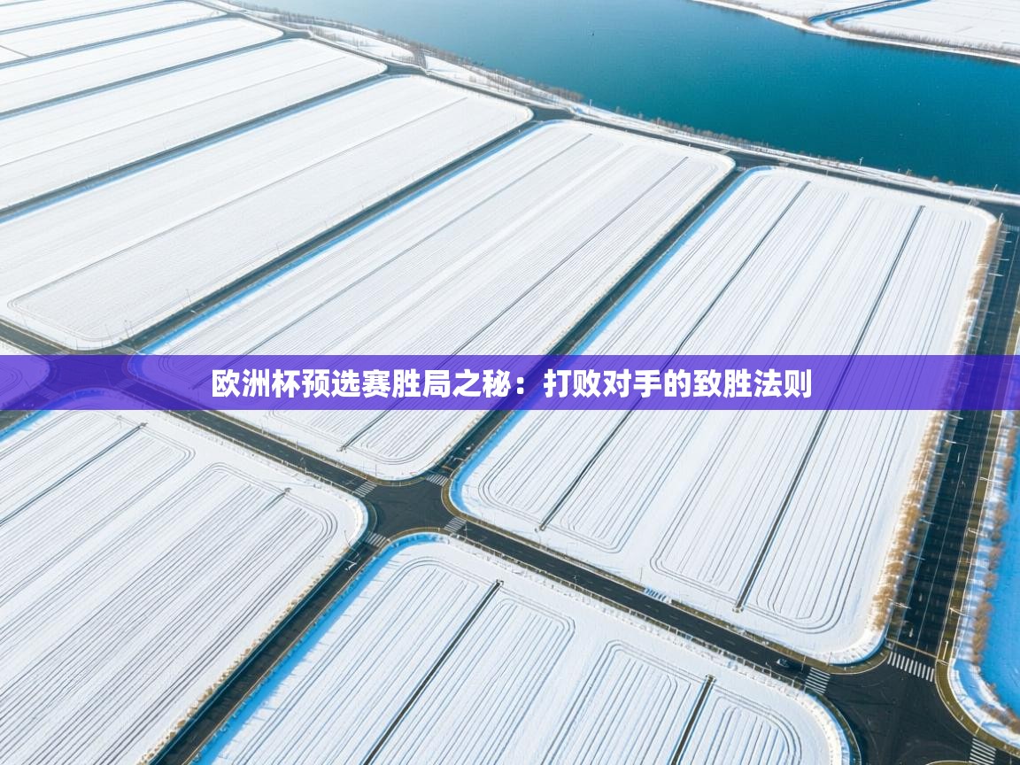 欧洲杯预选赛胜局之秘：打败对手的致胜法则  第2张