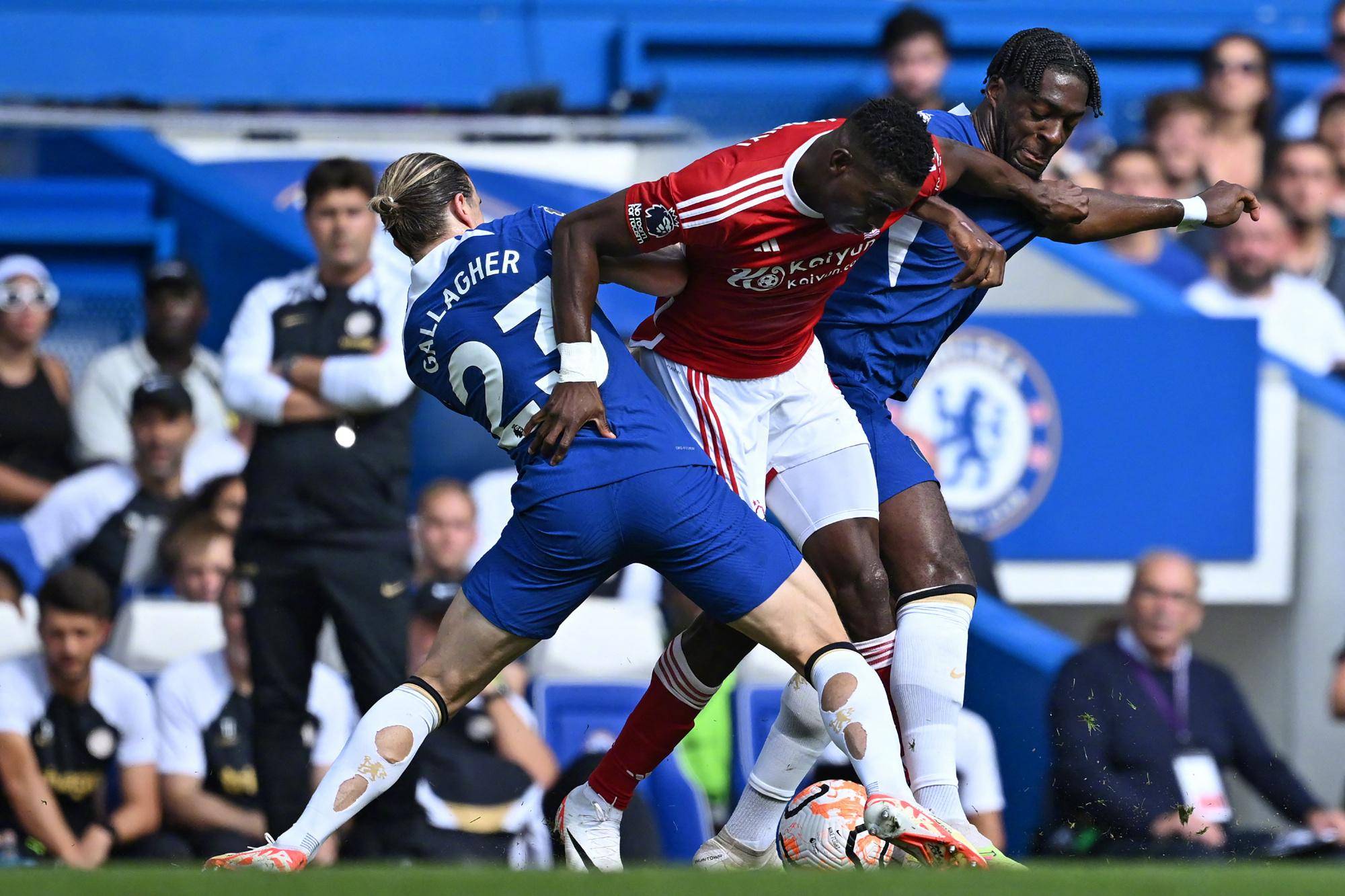 荷兰大胜塞尔维亚,欧冠联赛淘汰赛阻击成功 荷兰大胜塞尔维亚,欧冠联赛淘汰赛阻击成功