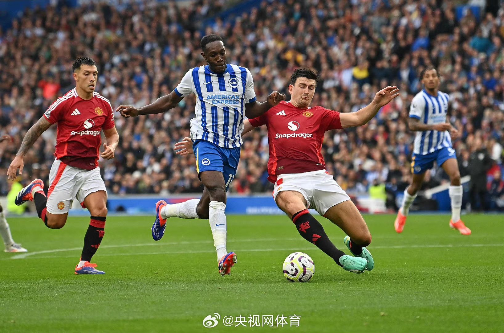 -曼城主场战胜布莱顿，完美收官